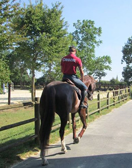 pensions pour chevaux